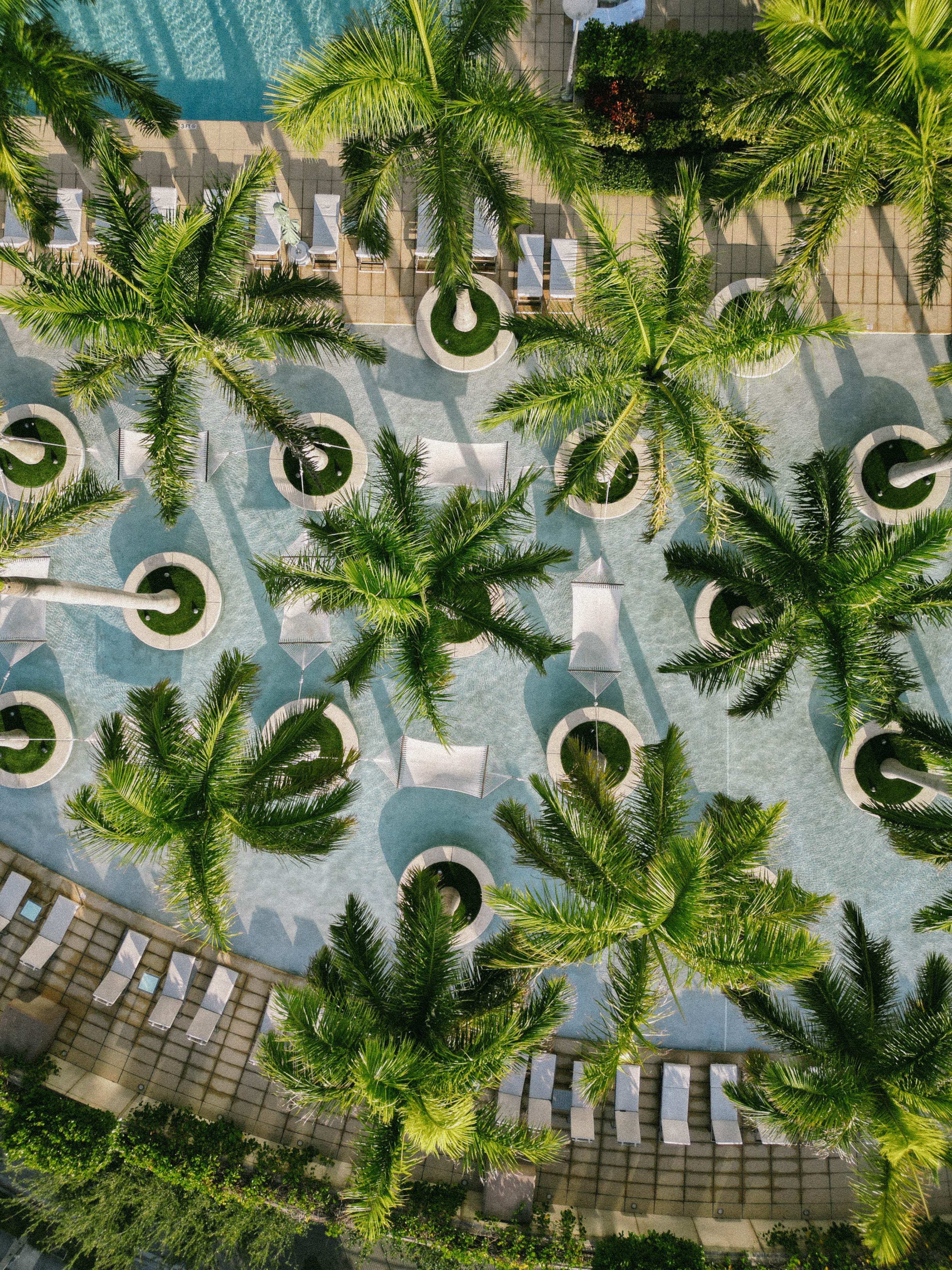 DJI_0509 (1).jpg