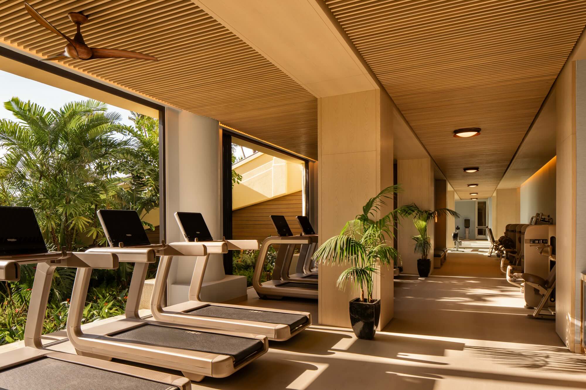 FS Maui Kai Holo Spa - Fitness.jpeg