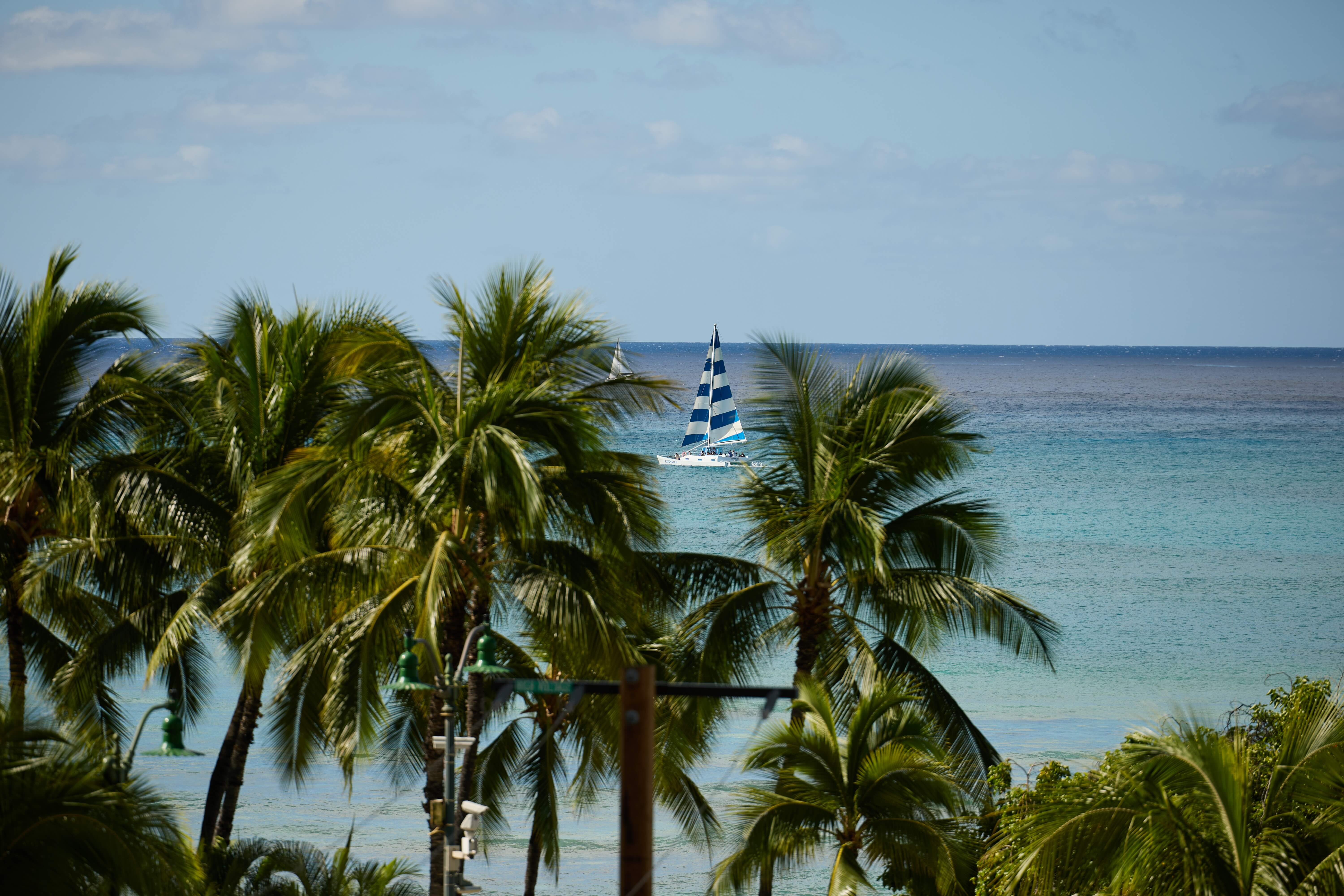 Kenny-Flowers-St-Lucia.jpeg