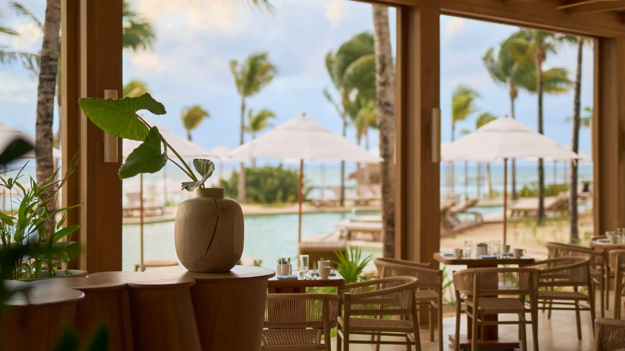 image of dining venue Ninguno Taqueria, image courtesy of Alila Mayakoba