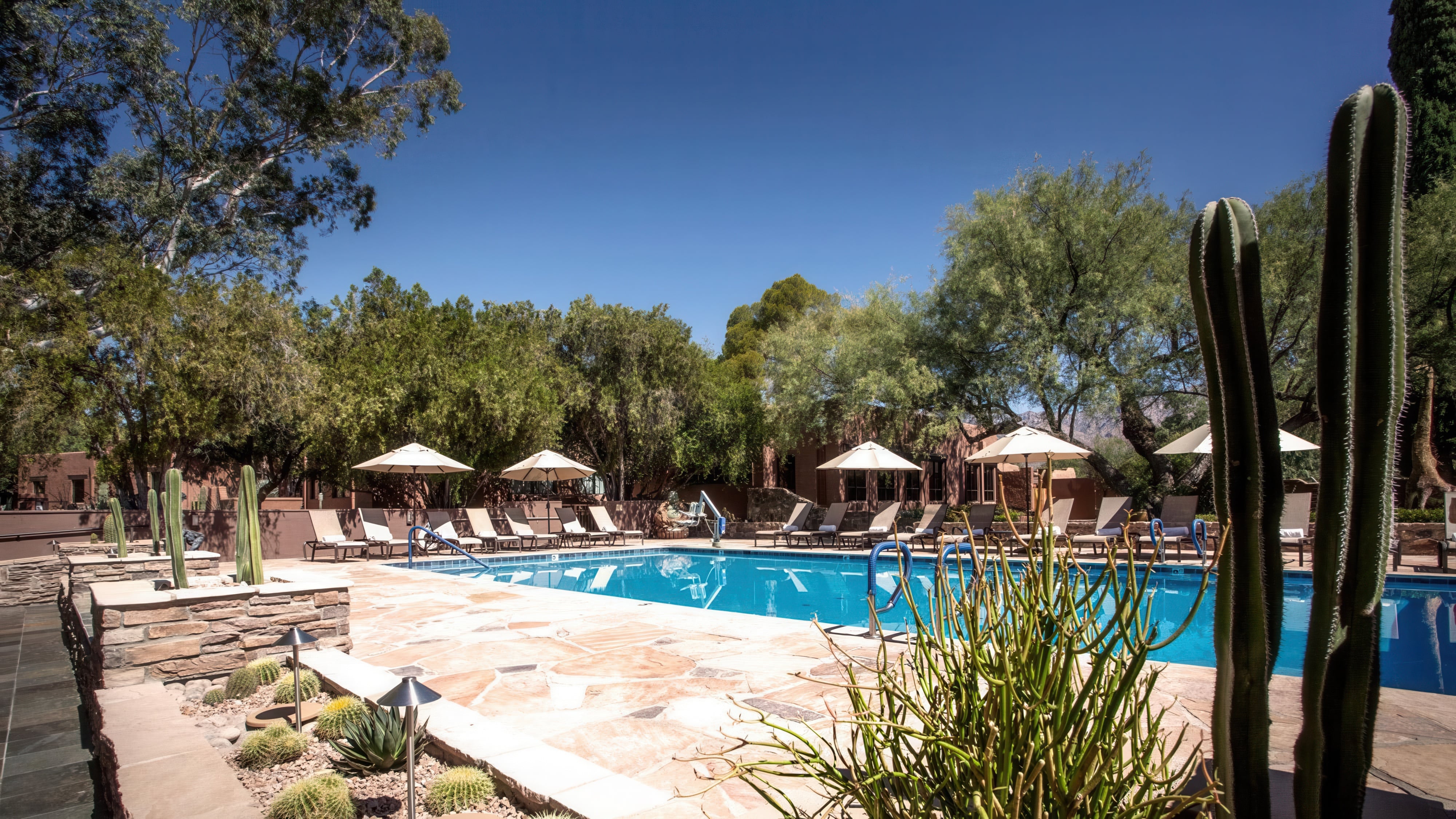 Exterior pool of Canyon Ranch Tucson in Tucson, Arizona awarded Three-Keys by Michelin