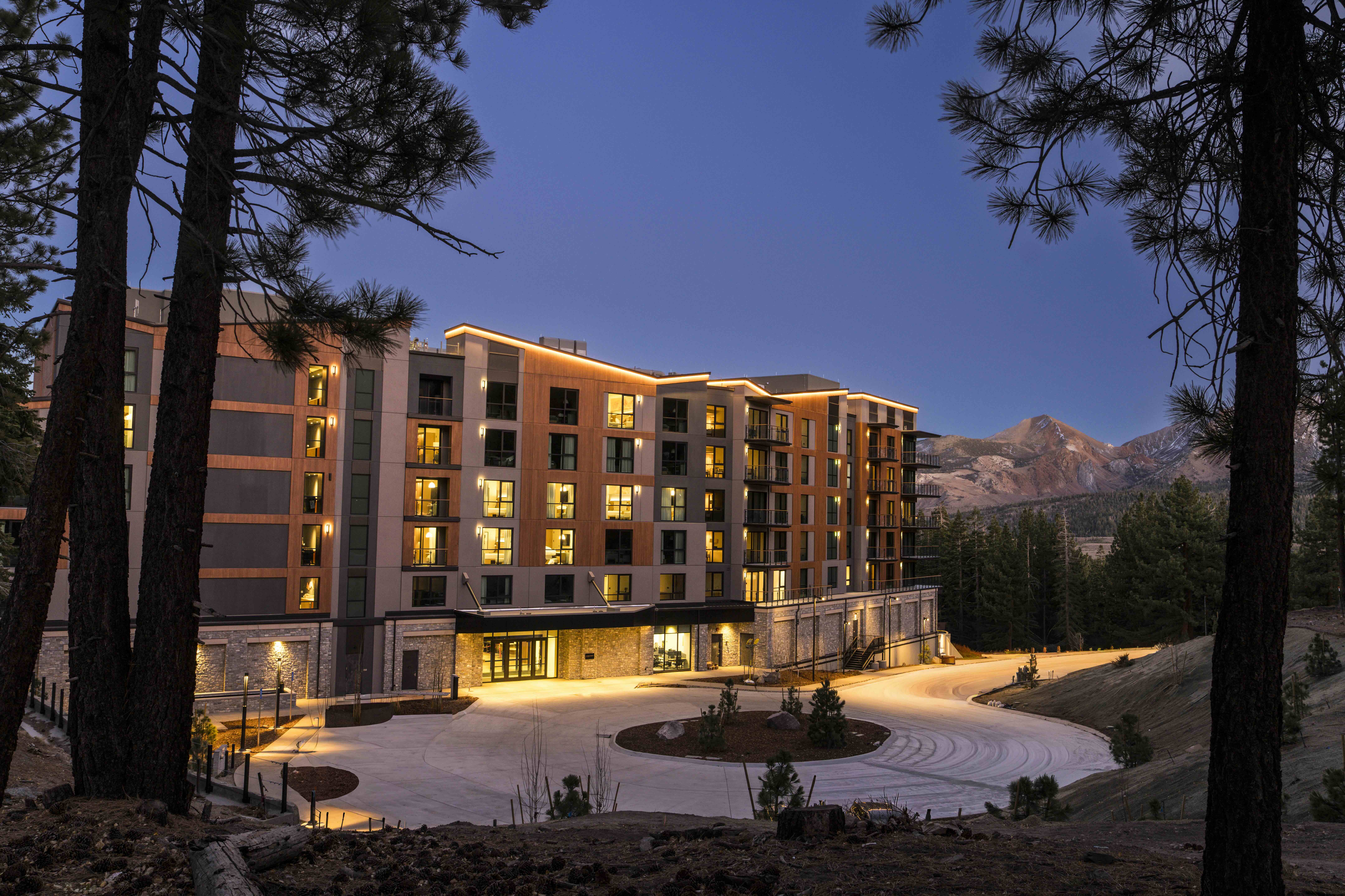 Image of Limelight Mammoth