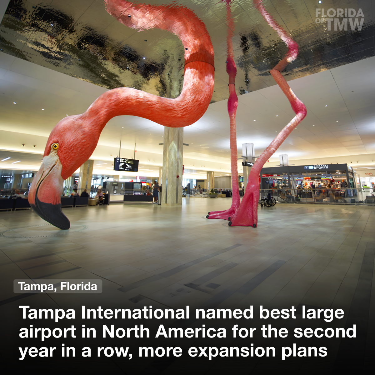 Tampa International named best large airport in North America 2nd year in a row, expansion plans