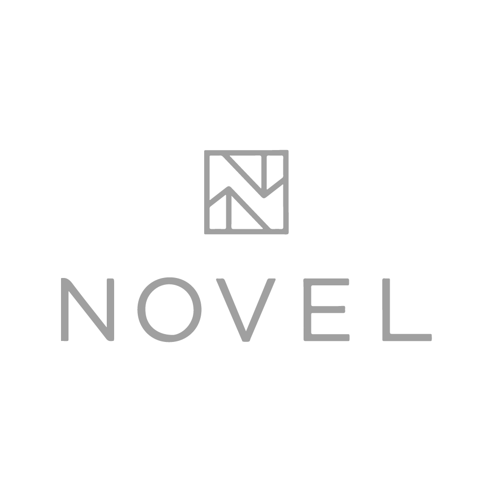 Novel