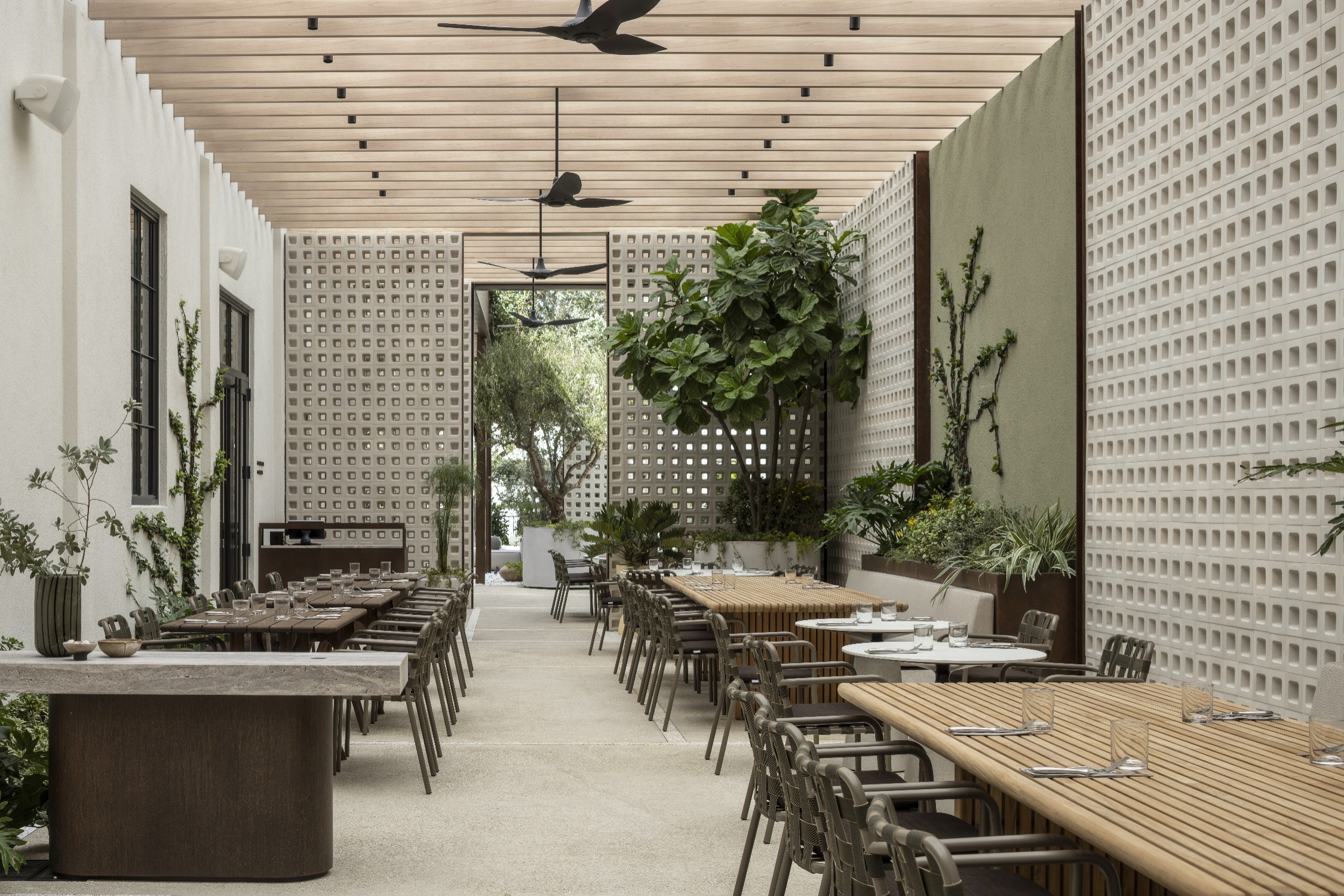 Celebrity Chef Eyal Shani to bring Malka, a taste of Tel Aviv to West Palm Beach